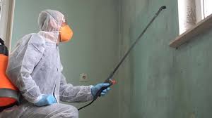 Best Biohazard Mold Removal  in Plymouth, PA